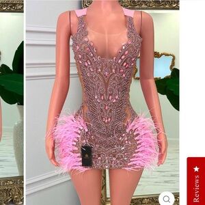 Elegant Pink Feather Embellished Dress